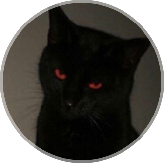 Imagem de um gato preto